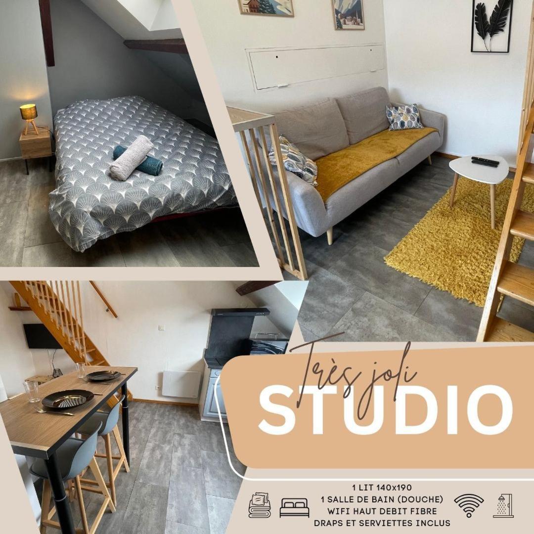 Superbe Studio A Proximite Du Centre-Ville Saint-Die-des-Vosges ภายนอก รูปภาพ